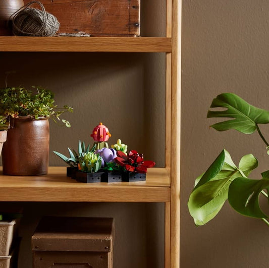 LEGO Succulents