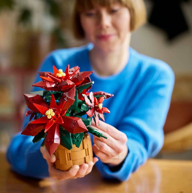 LEGO Poinsettia