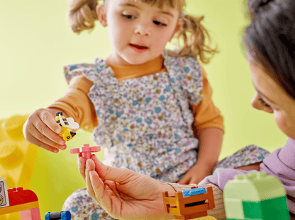 LEGO DUPLO® Cars and Trucks Brick Box