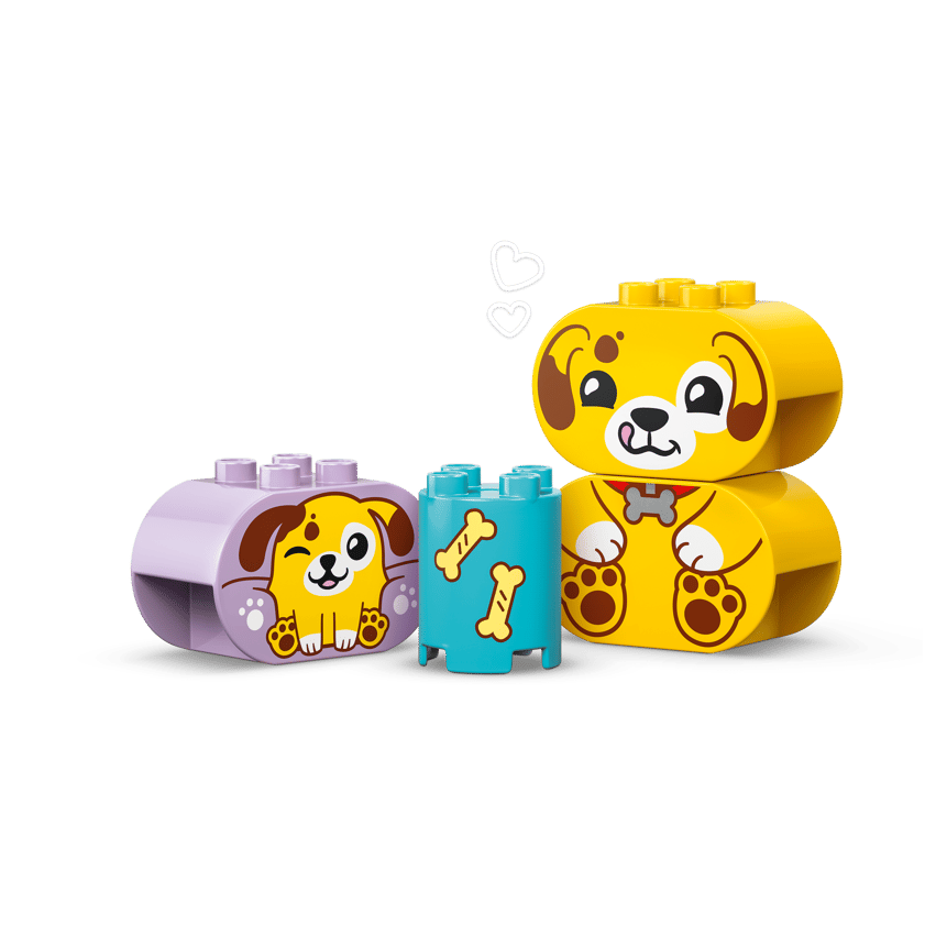 LEGO DUPLO® Shape Sorter: Puppy House