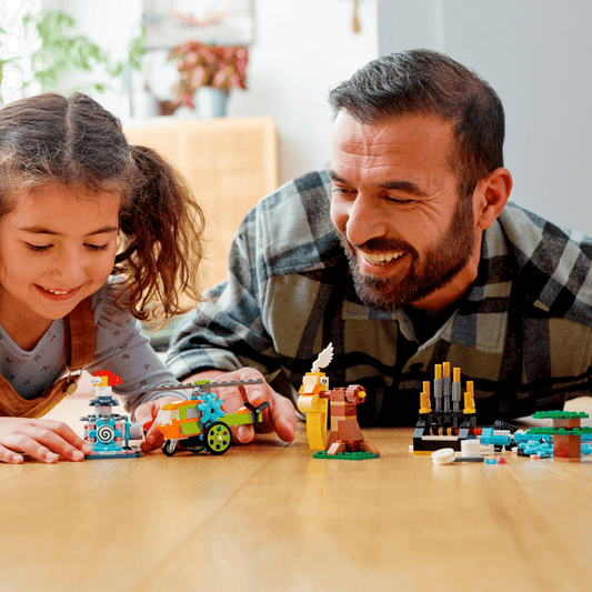 LEGO Bricks and Functions