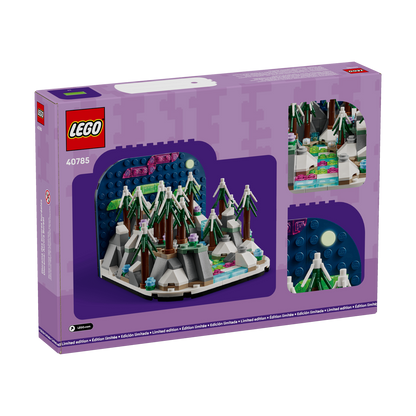 LEGO Wonders of the Natural World: Northern Lights