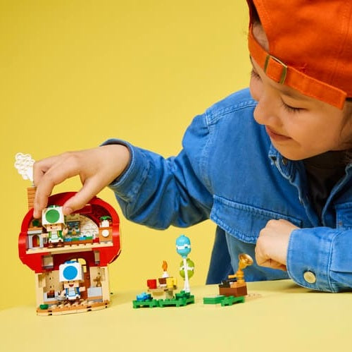 LEGO Party at Toad's House