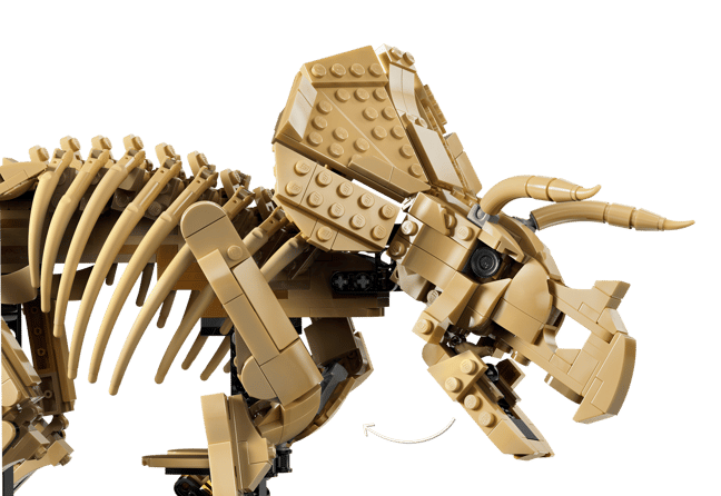 LEGO Dinosaur Fossils: Triceratops